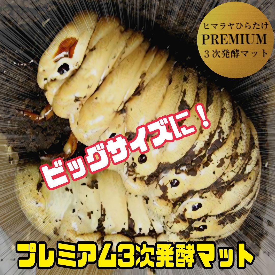カブトムシ幼虫が巨大化！プレミアム3次発酵マット【200リットル】産卵にも抜群！