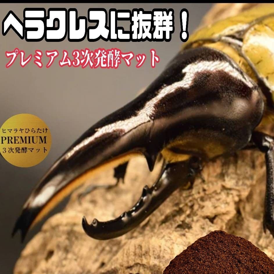 カブトムシ幼虫が巨大化！プレミアム3次発酵マット【200リットル】産卵にも抜群！