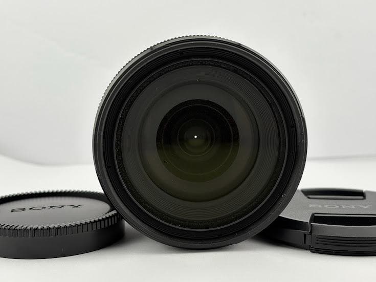 ★極上★ソニー SONY DT 16-50mm F2.8 SSM SAL1650
