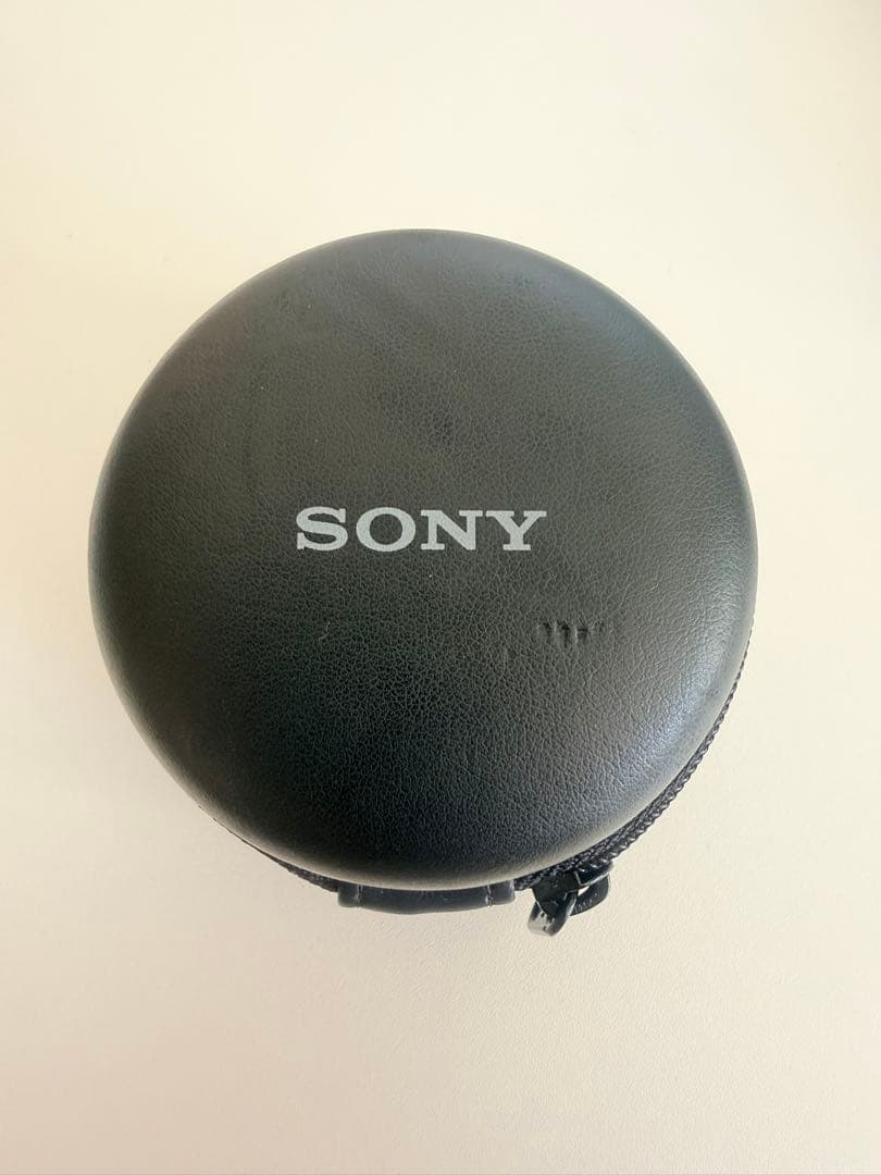 SONY E 単焦点 SEL16F28 & 魚眼コンバータ VCL-ECF1
