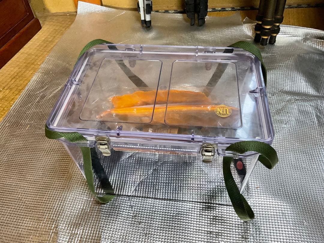 Nikon F4 ・AF NIKKOR ED 80〜200mm 1：2.8D 。