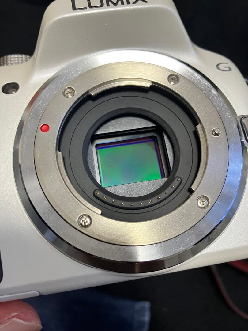 楽一番公式アカウント04　Panasonic DMC-G5W