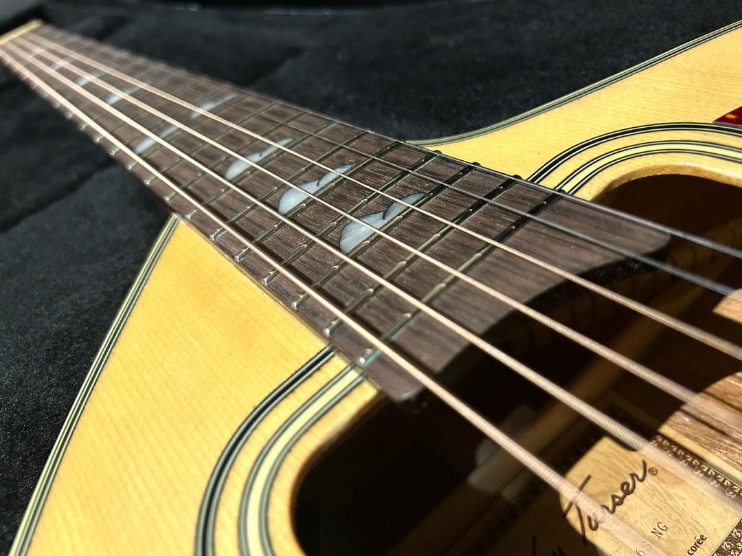 Jay Turser JTA-CRA-6S NG Giannini エレアコ