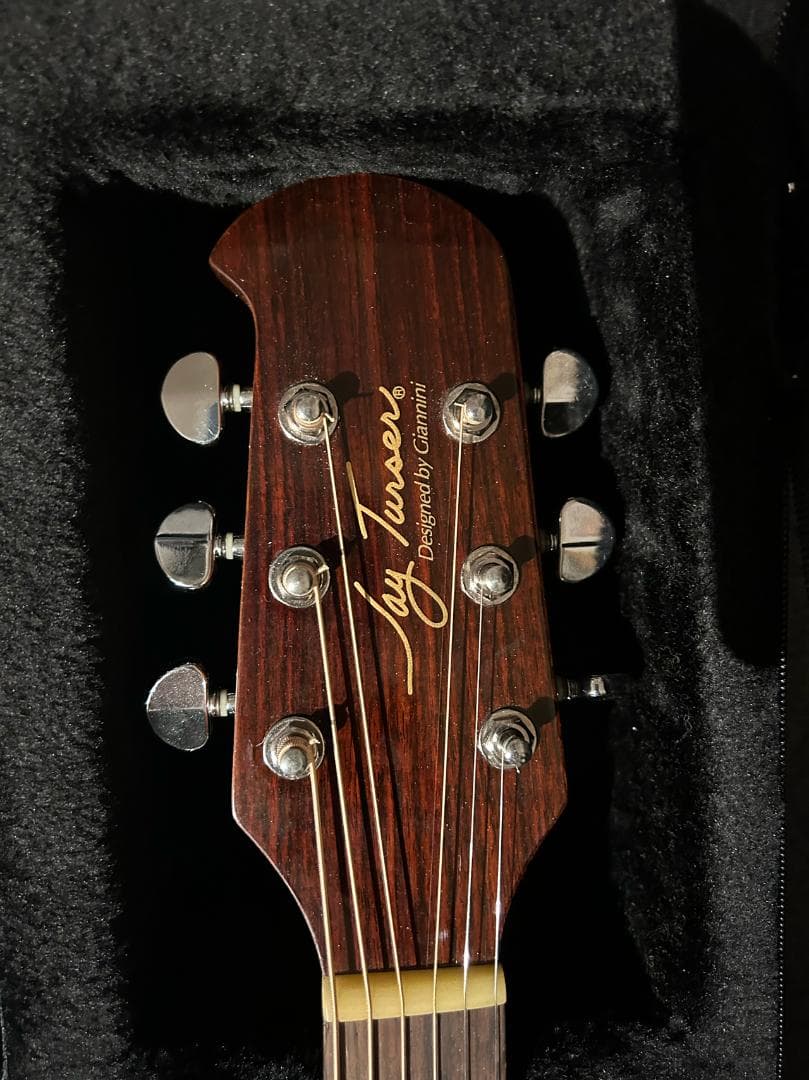 Jay Turser JTA-CRA-6S NG Giannini エレアコ