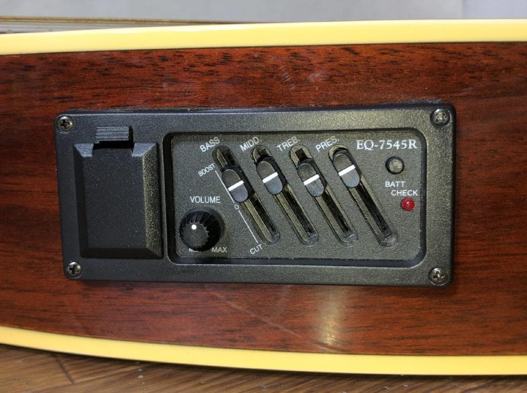 Jay Turser JTA-CRA-6S NG Giannini エレアコ