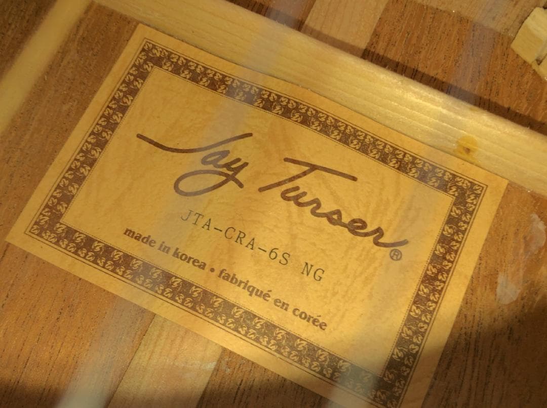 Jay Turser JTA-CRA-6S NG Giannini エレアコ