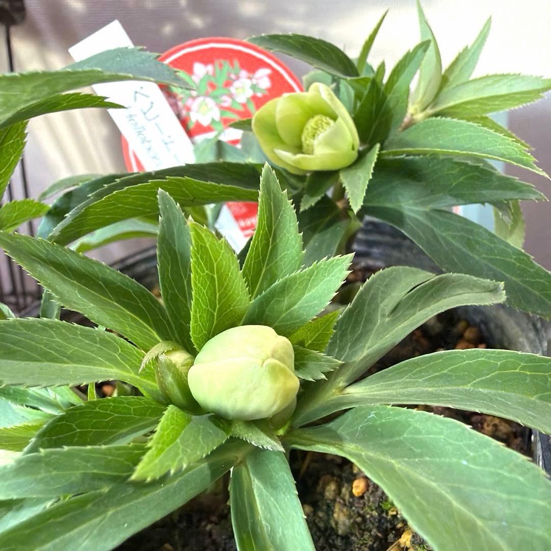 まい様　リクエスト　おまとめ3点