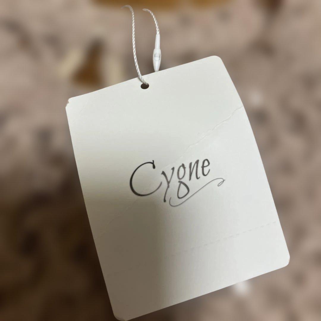 Cygne★シーニュ　チュールシアートップスeve