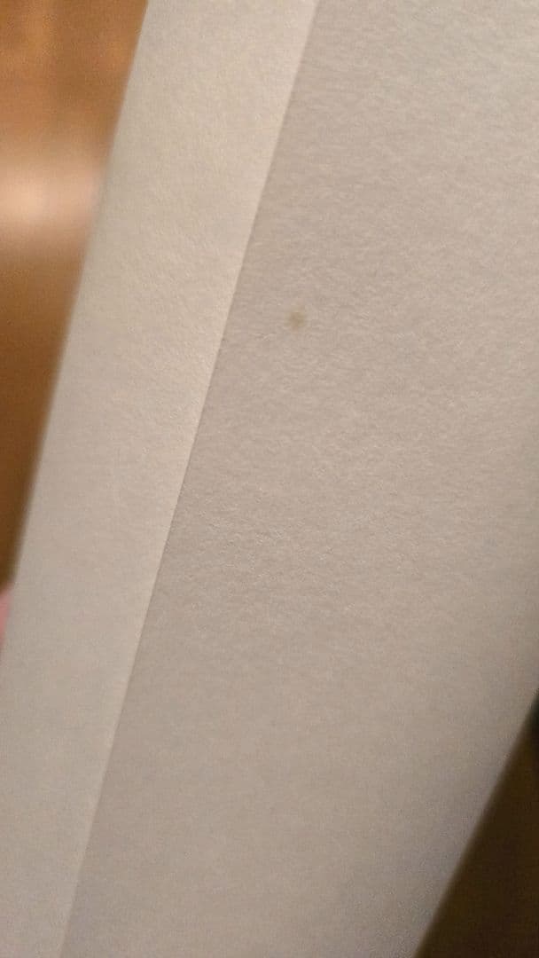 大友克洋　原画展　AKIRA B1オフィシャルポスター