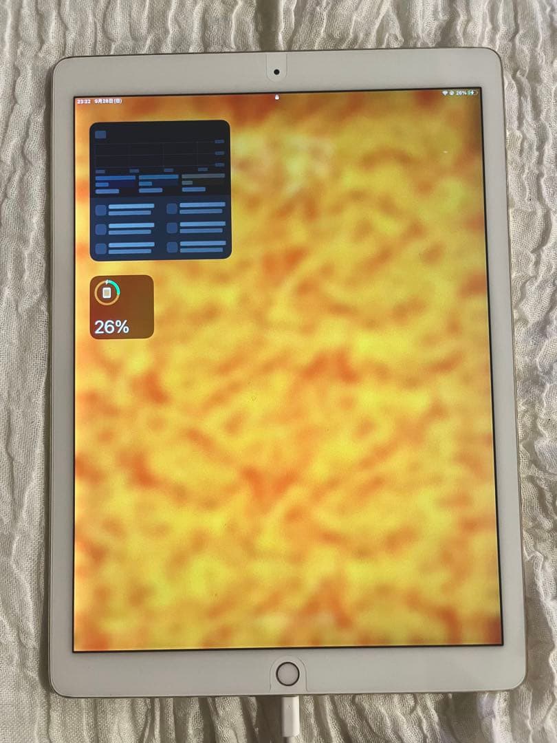 iPad Pro 12.9 (第2世代) 64GB + Apple Pencil