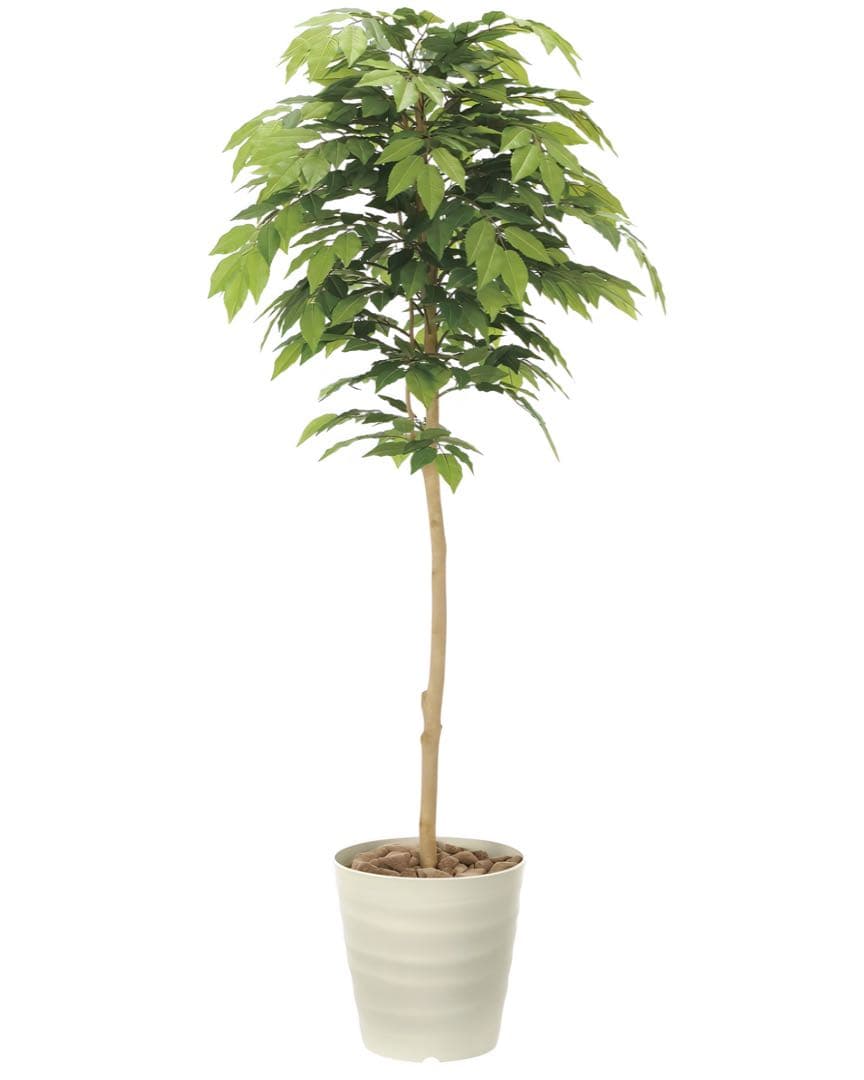 光触媒　人工観葉植物　ウォールグリーン　フェイクグリーン　ケヤキ1.6