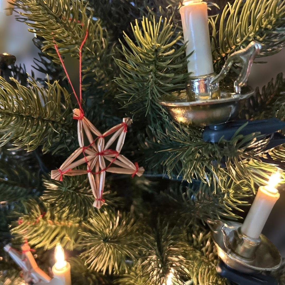 RS GLOBALTRADE社クリスマスツリー　壁掛けウォールツリー