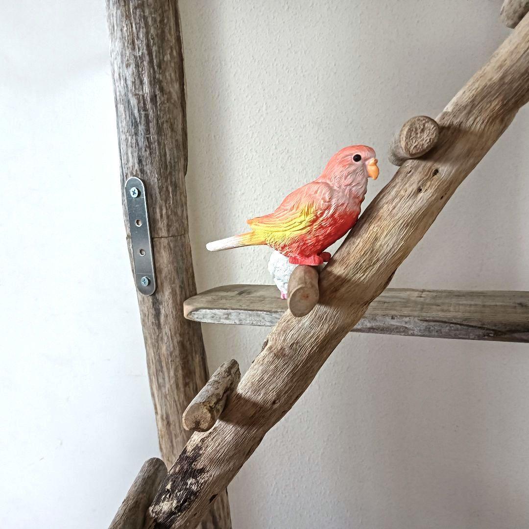 ちょこまふぃん バードアスレチックジム大型 天然木 自然木 流木 インコ