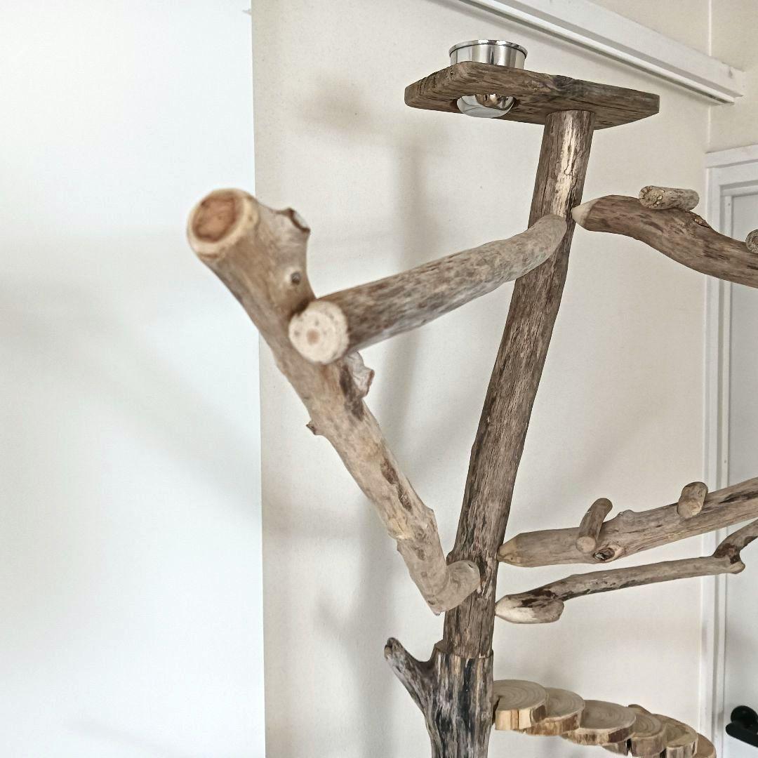 ちょこまふぃん バードアスレチックジム大型 天然木 自然木 流木 インコ