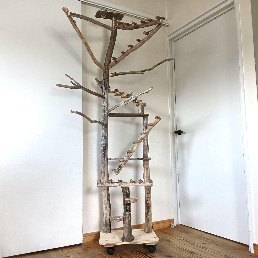 ちょこまふぃん バードアスレチックジム大型 天然木 自然木 流木 インコ