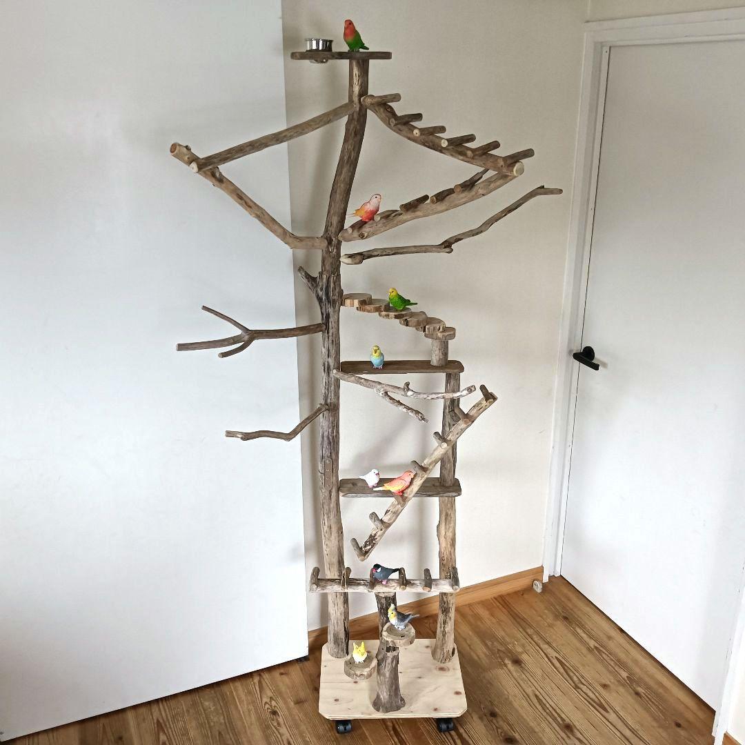 ちょこまふぃん バードアスレチックジム大型 天然木 自然木 流木 インコ