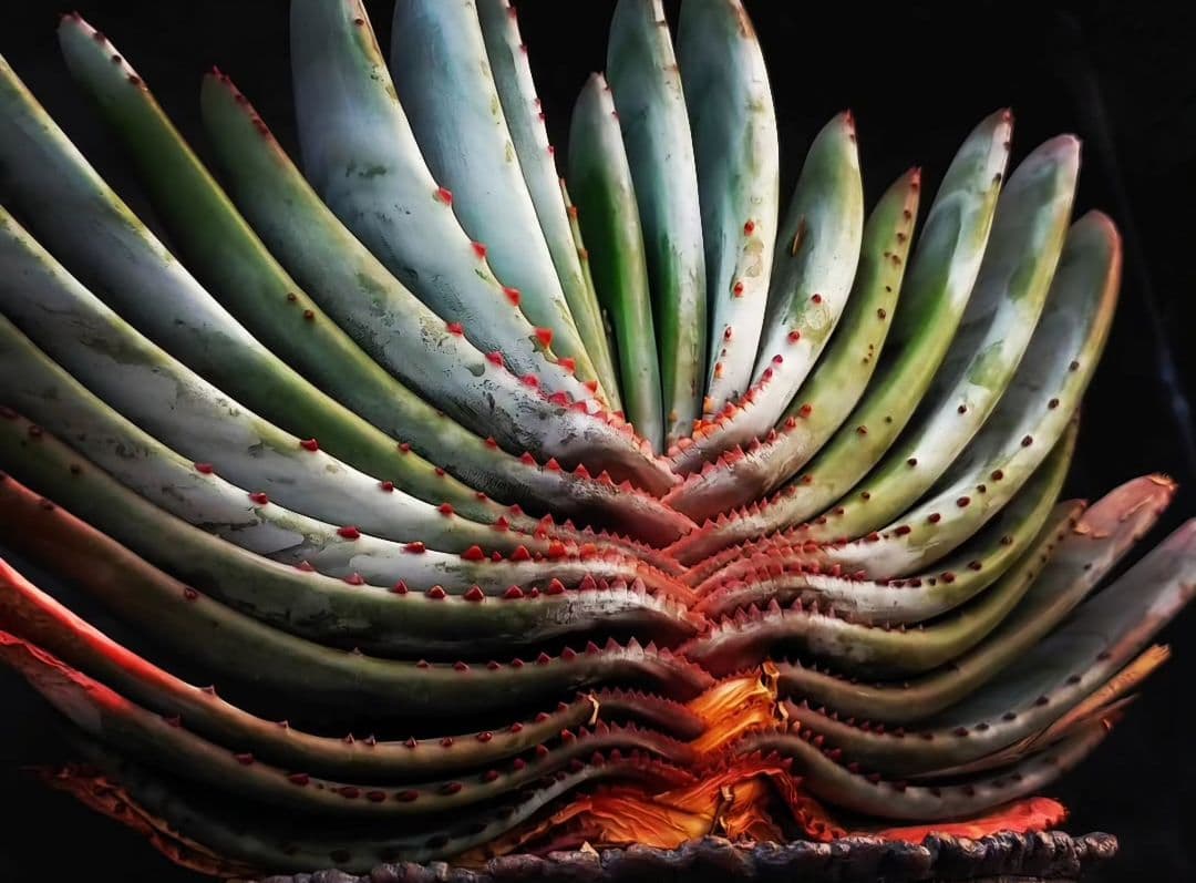 メルカリ便発送☆ドゥラティー様 リクエスト 4点 まとめ商品