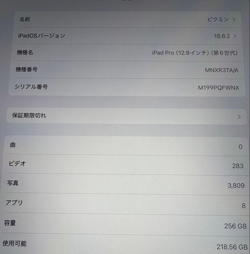 Apple iPad Pro スペースグレー 本体 12.9インチ