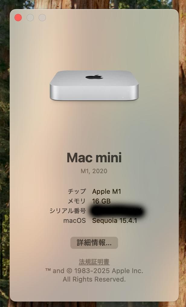 【中古】Mac mini M4 16GB RAM 2TB SSD＋HUB