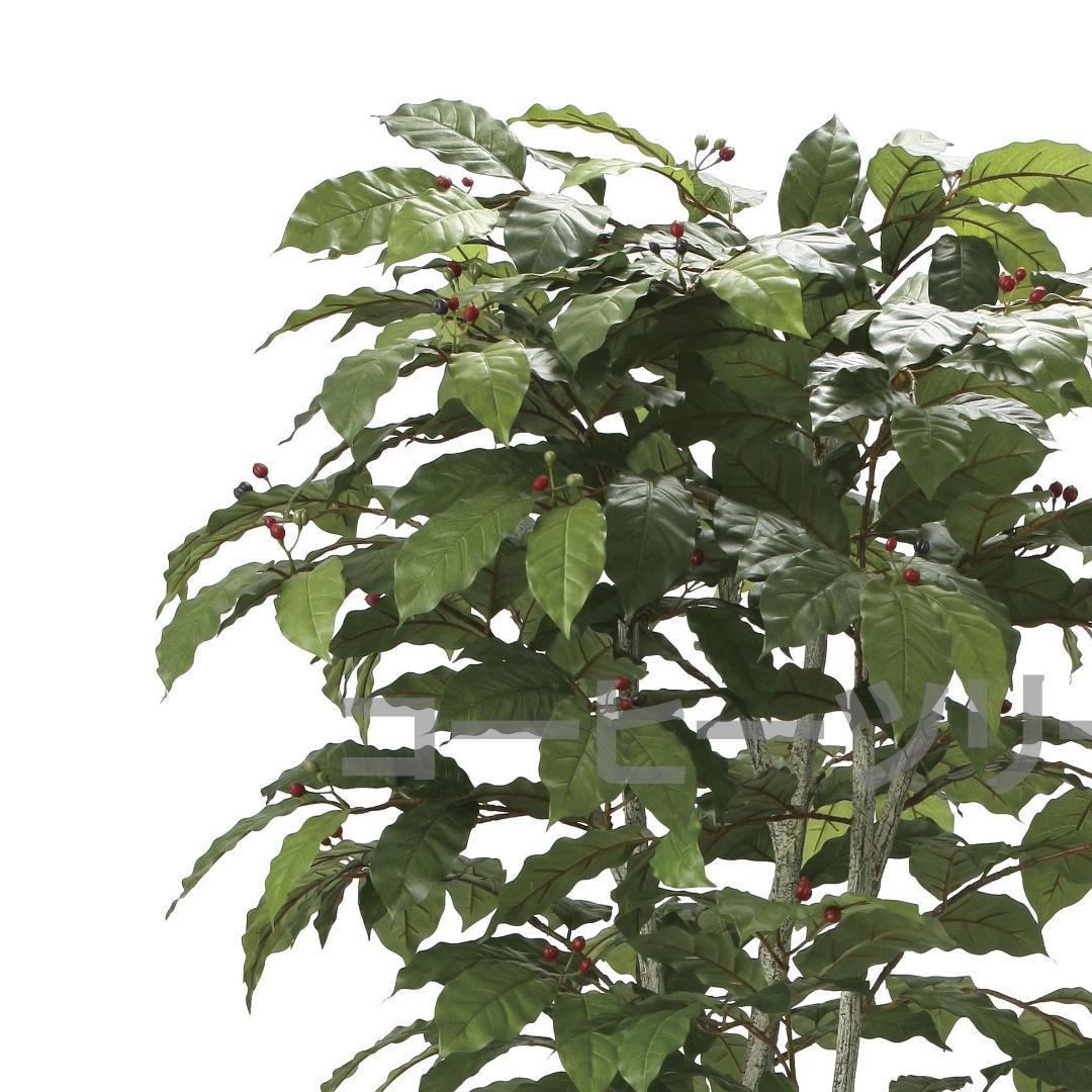 ◇日本製◇◇◇フェイクグリーン コーヒーツリー1.8 高さ1.8m 光の楽園