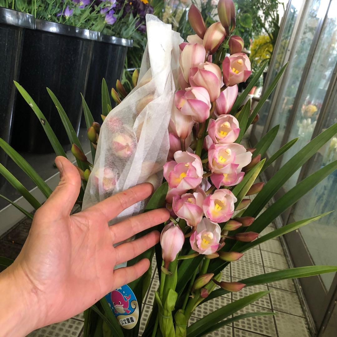 まさまる