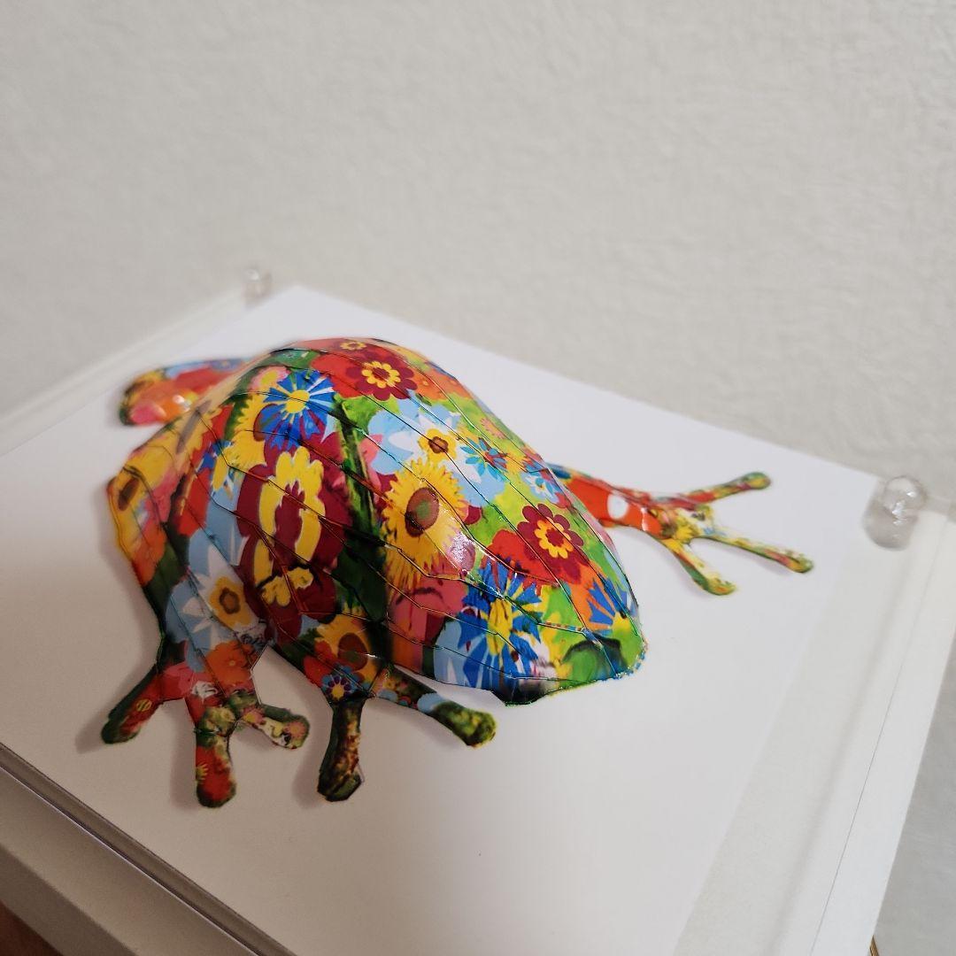 大村洋二朗　花柄カエルは壁に張り付く