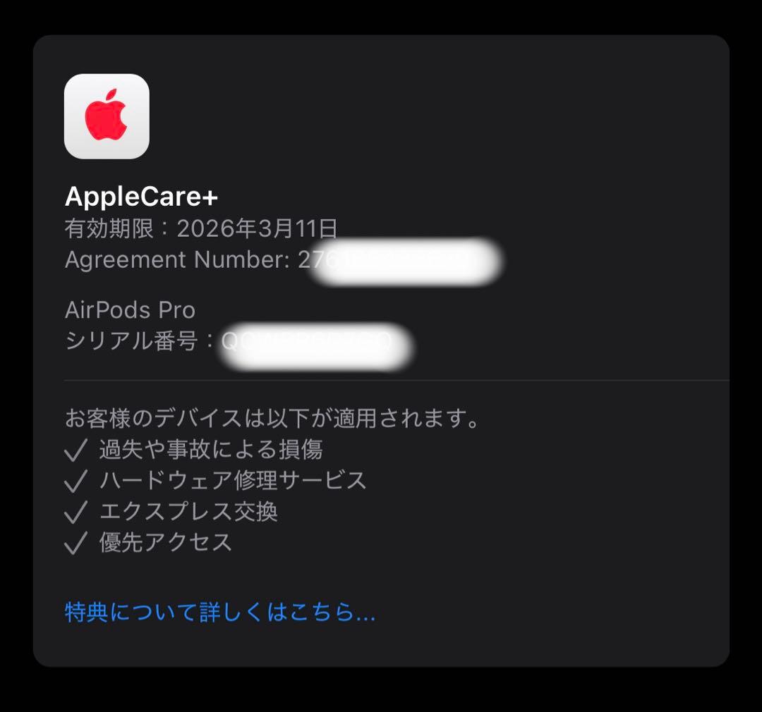 【最終価格】AirPods Pro (第2世代) 本体　極美品　タイプC