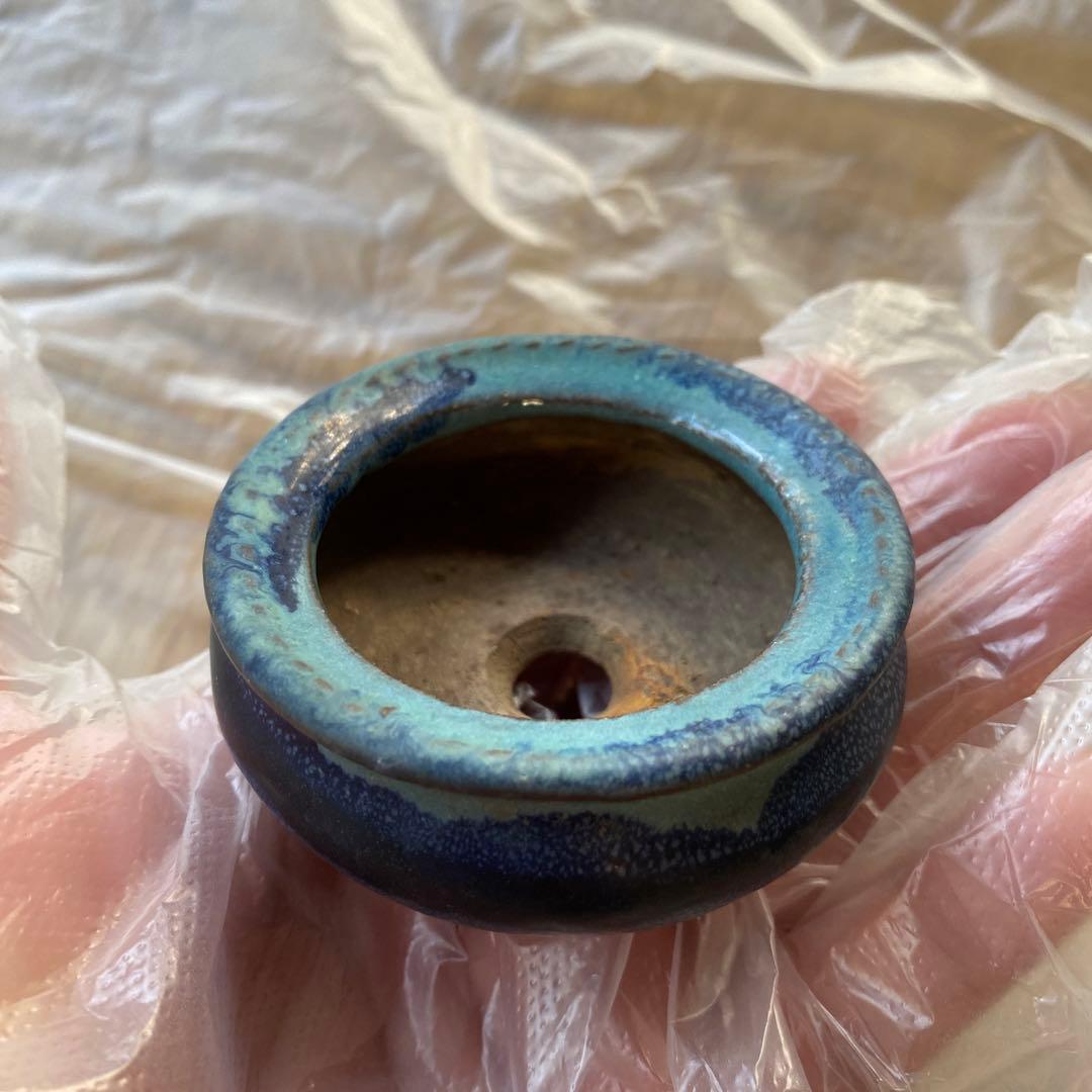 陶翠　緑寿庵　(D) 盆栽鉢　ミニ盆栽鉢　(A13)