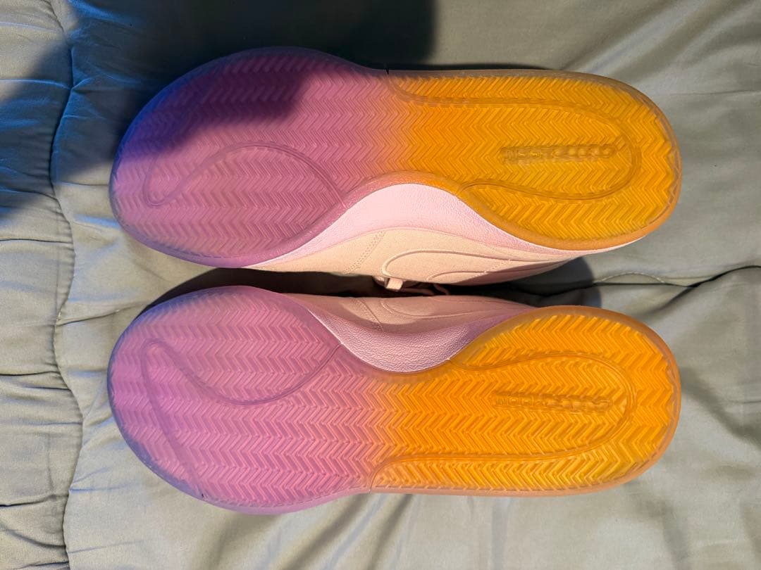 Nike book1(31cm)値下げ可能