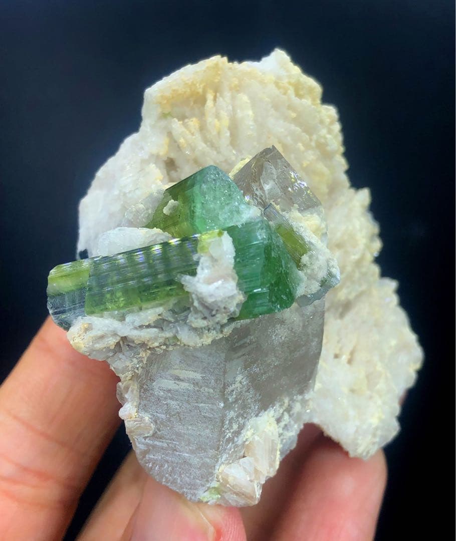 アルバイト付きクォーツクリスタル上の天然バイカラートルマリン。