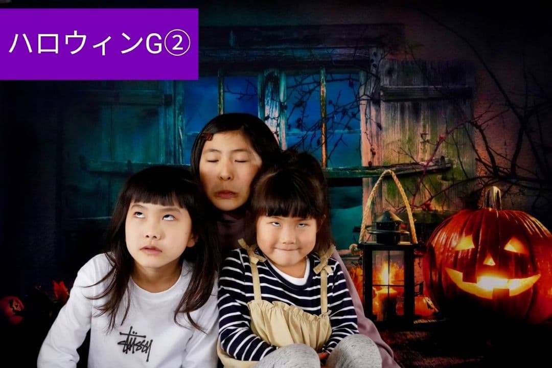 背景布【秋H】サンプル　9月お月見、ペット、トリミング撮影用　パンパスグラス