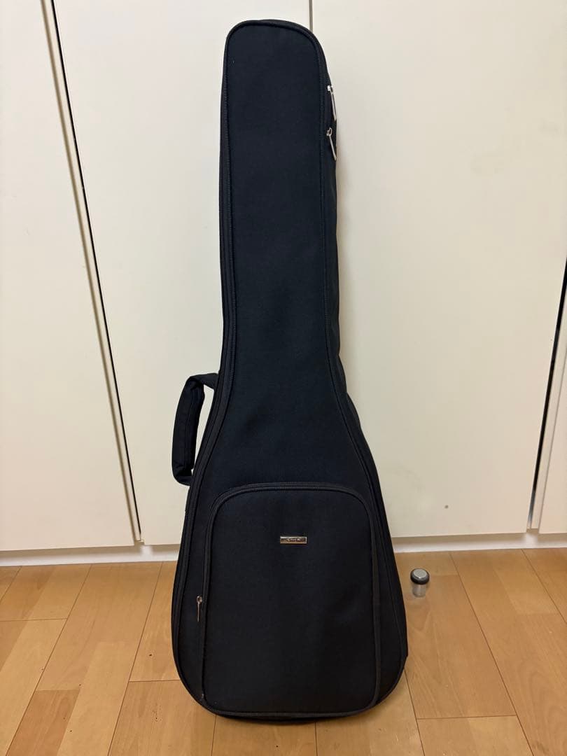 Enya Nova Go【値下げしました】