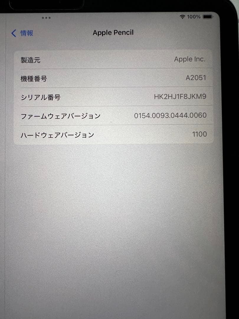 【セット】iPad Pro 11インチ第1世代＋Apple Pencil第2世代