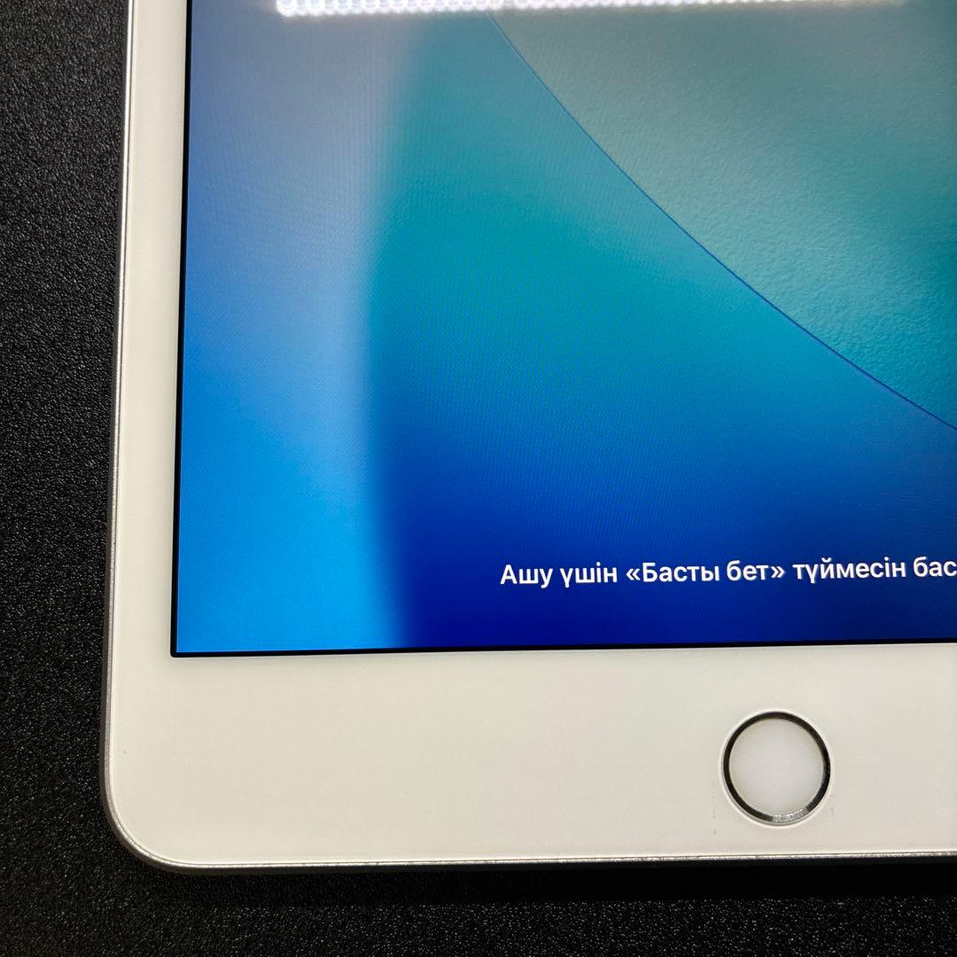 iPad mini 第5世代　256GB