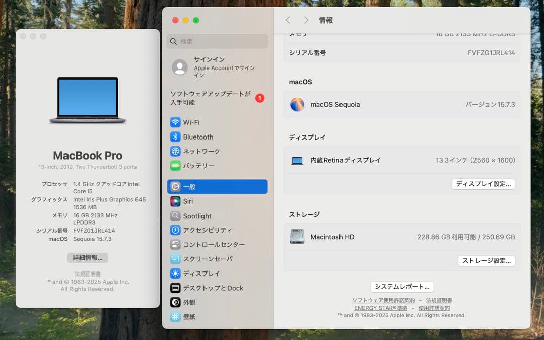 MacBook本体 Apple MacBook Pro 13 2019 i5/16GB/250GB