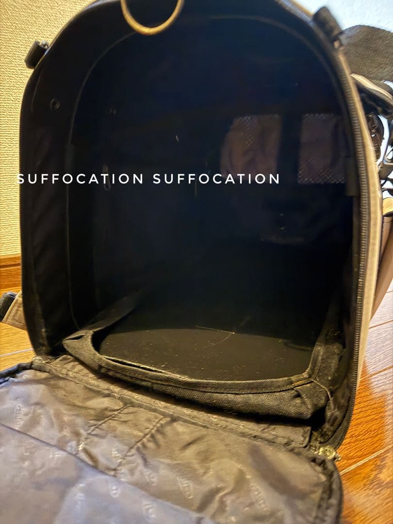 celltei ペット用キャリーバッグ　電車・バス、非常時にも！