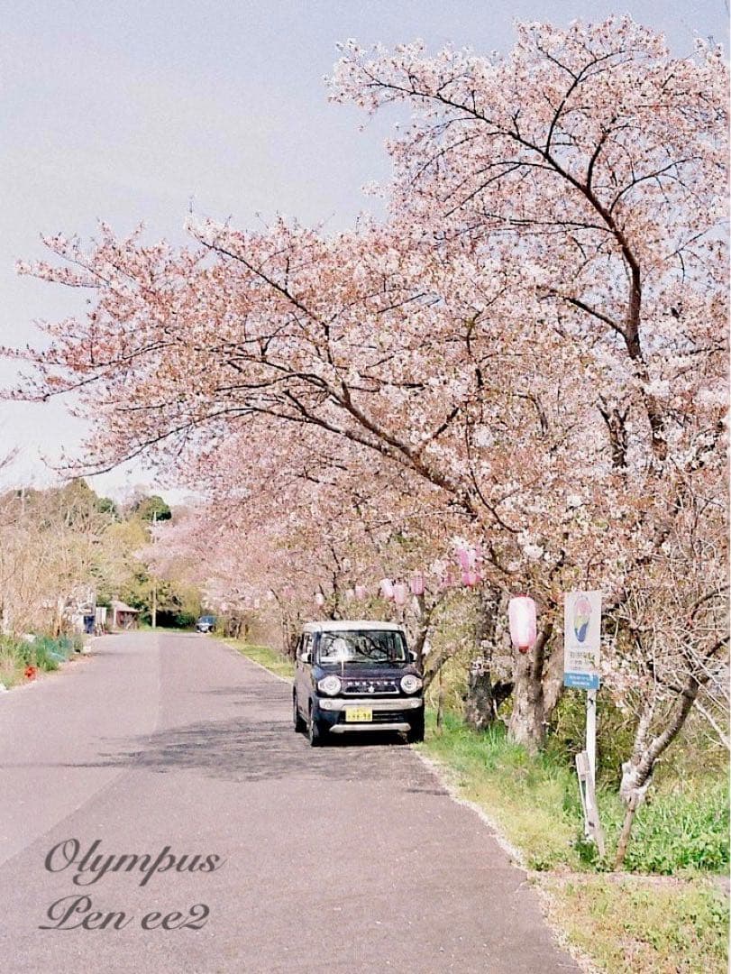 ★フィルム入門に！★オリンパスpen ee2 ★リザード本革グリーン★初期保証付