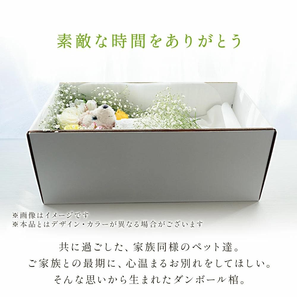 ペット用段ボール棺