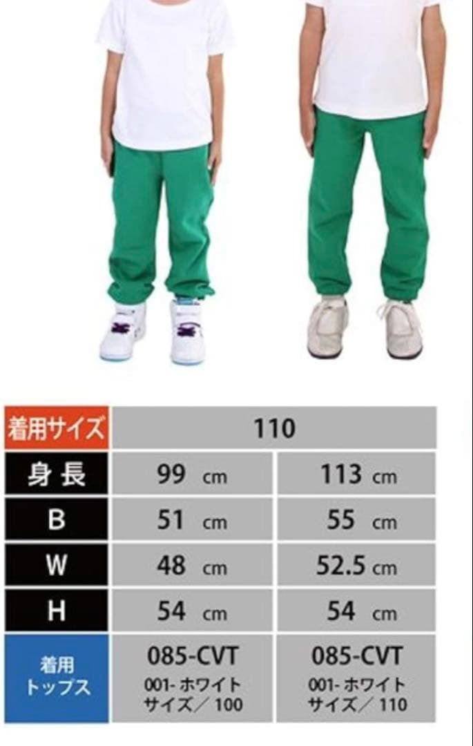 【お値下げ中】ミニパル　コスチューム　パルパルーザ　120.110cm程度