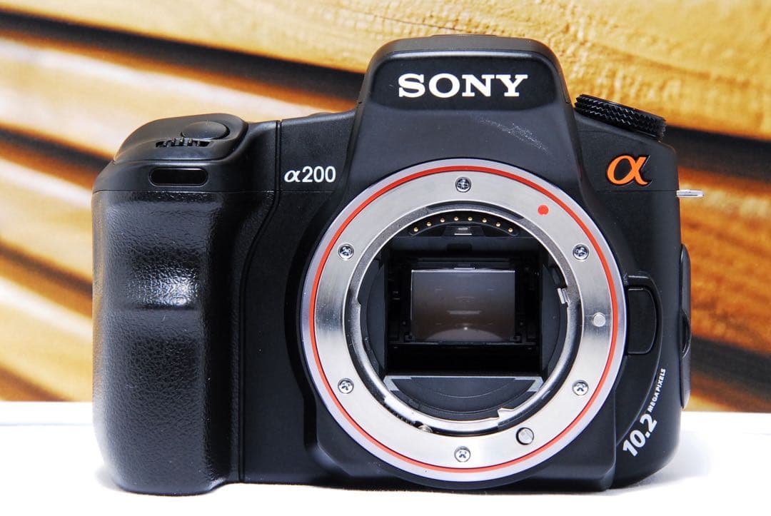 ダブルレンズ SONY α200 一眼レフ 手ぶれ補正 ソニー 望遠 初心者