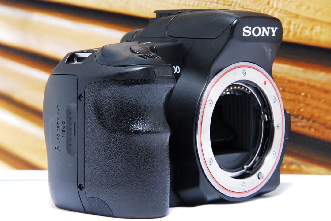 ダブルレンズ SONY α200 一眼レフ 手ぶれ補正 ソニー 望遠 初心者