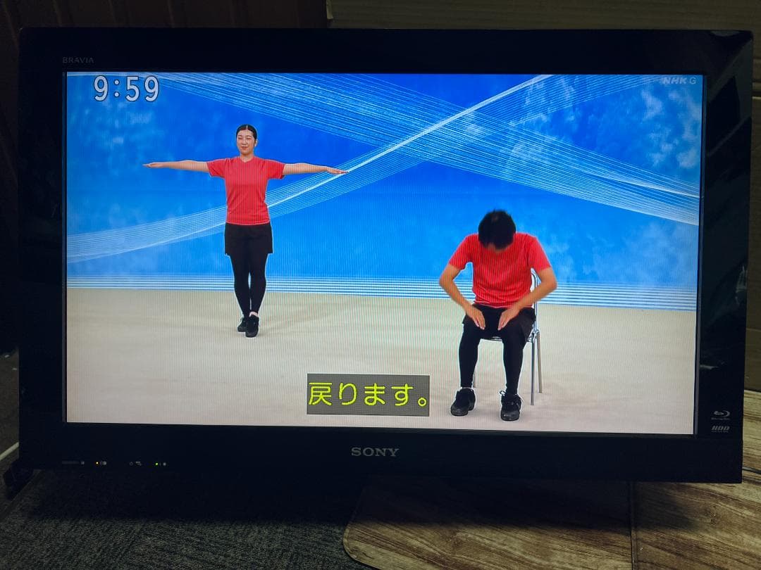 SONY 液晶テレビ BRAVIA KDL-32EX30R 32インチ