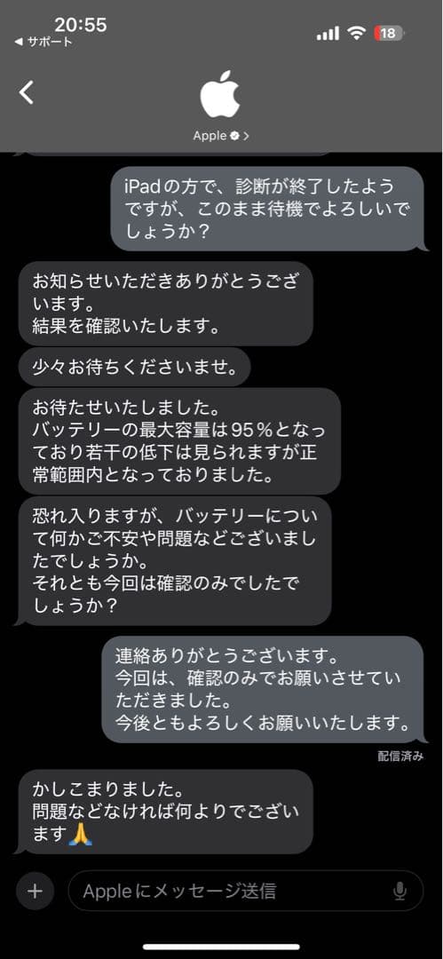 Apple iPad Pro (12.9インチ) 第5世代 128GB