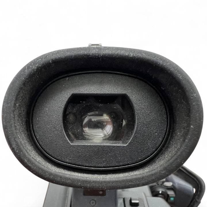 SONY ソニー HD ビデオカメラ HDR FX1000