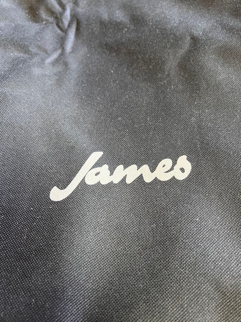 James アコースティックギター サンバースト カッタウェイ