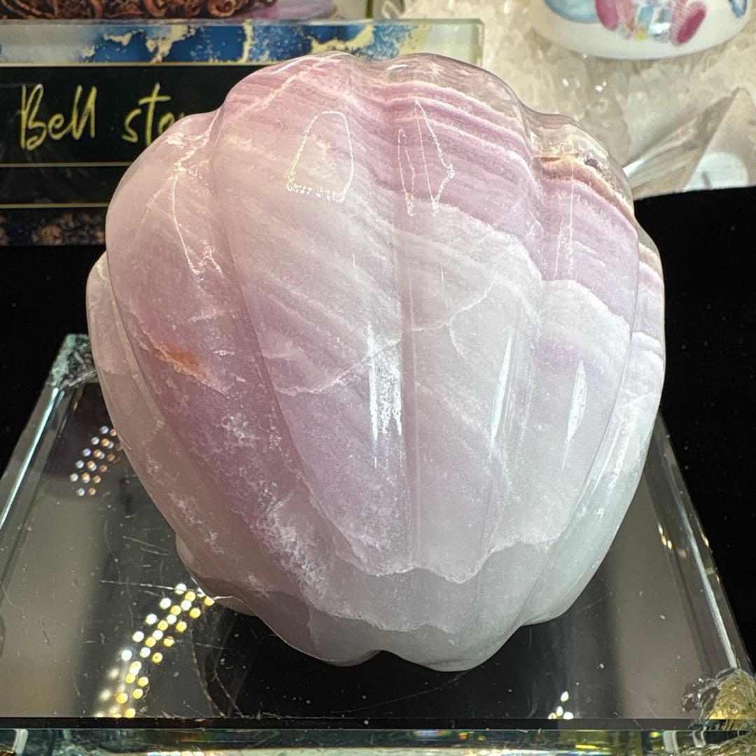 シルキーフローライト貝♡シェル♡No.2585