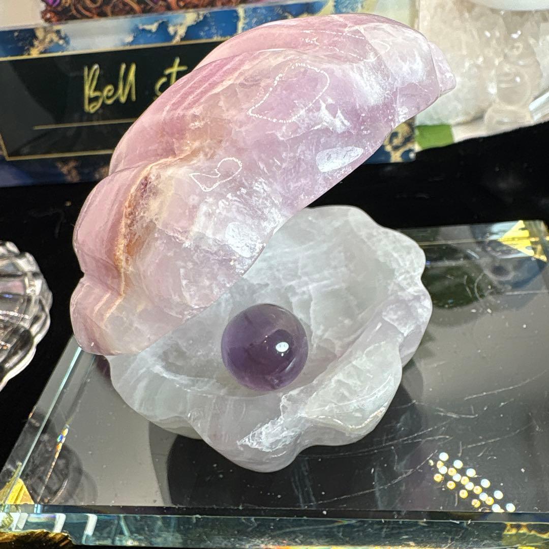 シルキーフローライト貝♡シェル♡No.2585