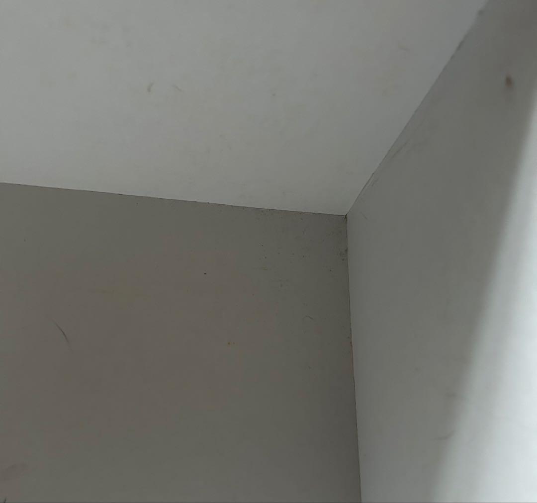 エルメス HERMES 空箱 横43×縦43×高さ17.5 ショッパー　3枚