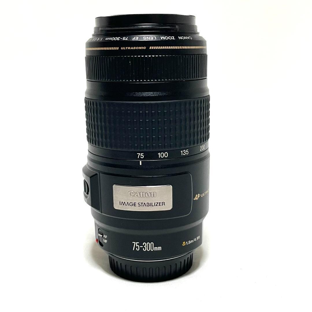 動く一瞬を捉える❣️ Canon EF 75-300mm IS USM 超望遠