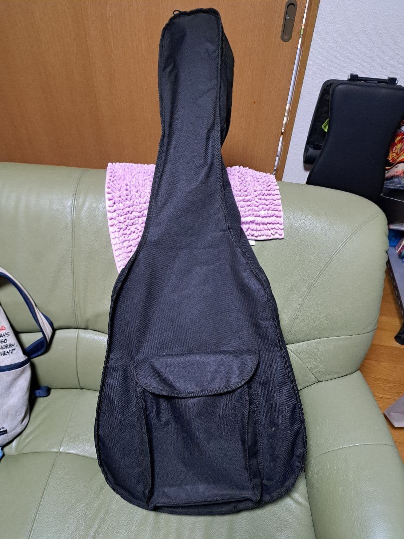 Indie エレクトリックアコースティックギター(生産終了品)ソフトケース付き